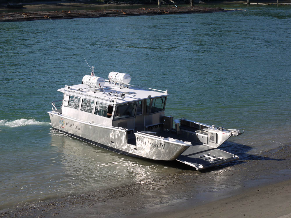 36 ft catamaran sailboat