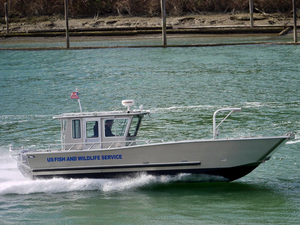 dive catamaran boats