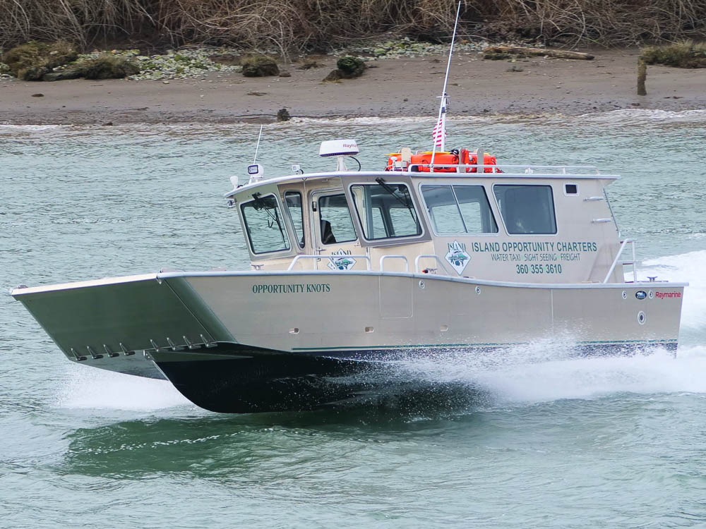 36 ft catamaran sailboat